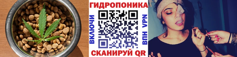 Купить где  Кирсанов  Cannafood конопля 
