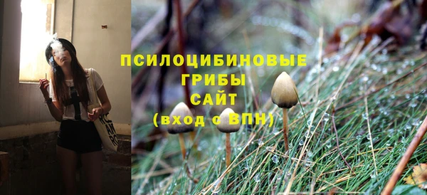 мяу мяу мука Заволжск